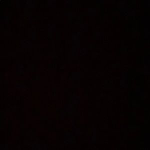 Meet your Posher, Lily